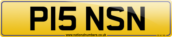 P15 NSN