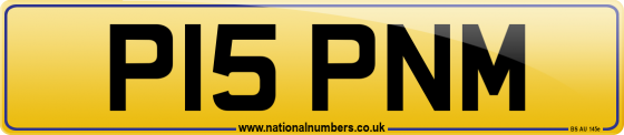 P15 PNM