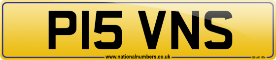 P15 VNS