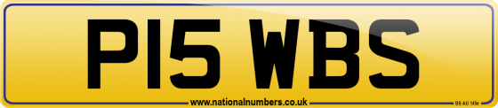 P15 WBS
