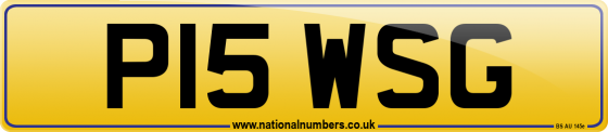 P15 WSG