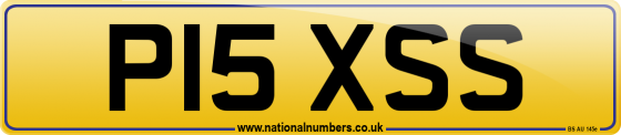 P15 XSS