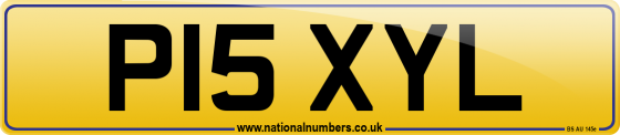 P15 XYL
