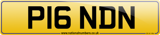 P16 NDN