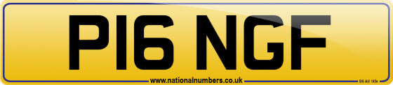 P16 NGF