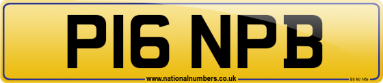 P16 NPB