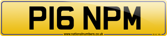 P16 NPM
