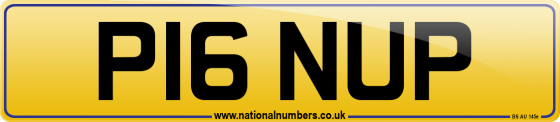 P16 NUP