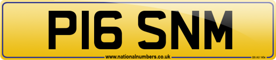 P16 SNM