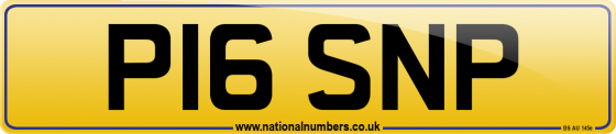 P16 SNP