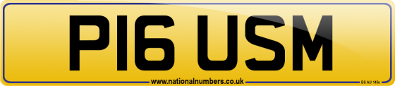 P16 USM