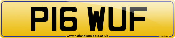 P16 WUF