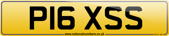 P16 XSS