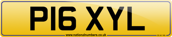 P16 XYL