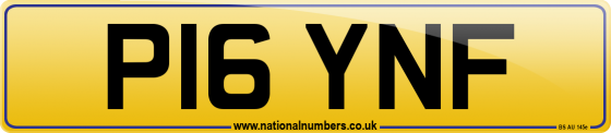 P16 YNF