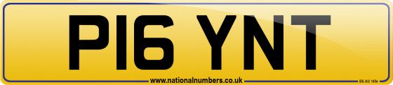 P16 YNT