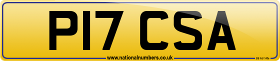 P17 CSA