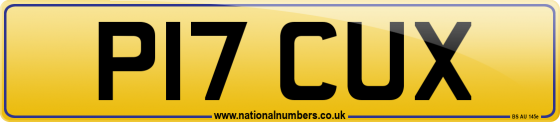 P17 CUX