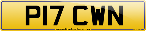 P17 CWN