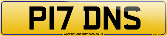 P17 DNS