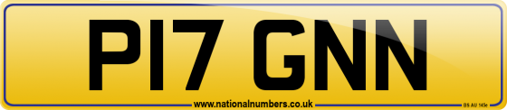 P17 GNN