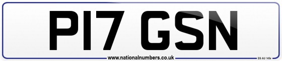 P17 GSN