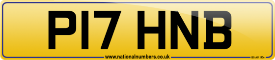 P17 HNB