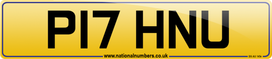 P17 HNU