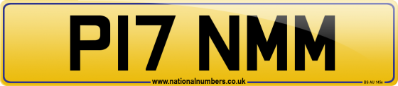 P17 NMM