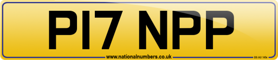 P17 NPP