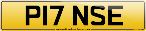 P17 NSE