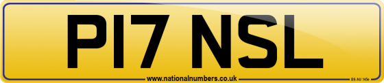 P17 NSL