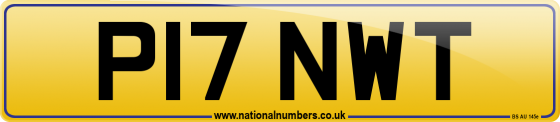 P17 NWT