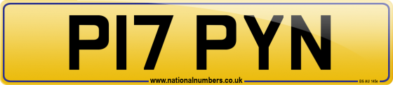 P17 PYN