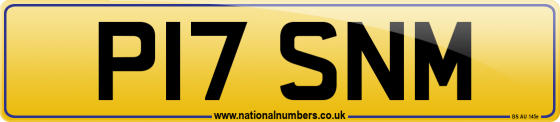 P17 SNM