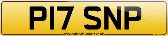 P17 SNP