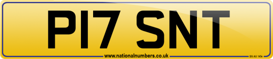P17 SNT
