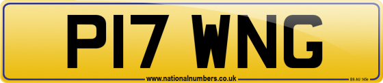 P17 WNG