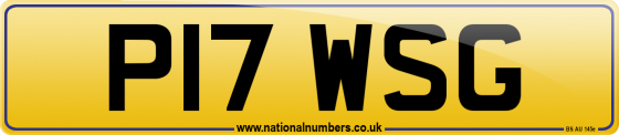 P17 WSG