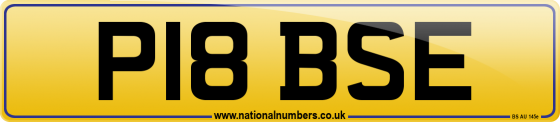 P18 BSE