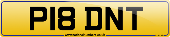 P18 DNT