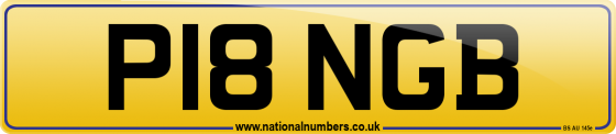 P18 NGB