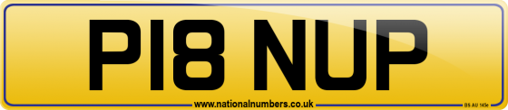 P18 NUP