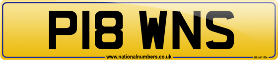 P18 WNS