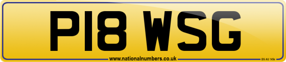 P18 WSG