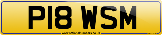 P18 WSM