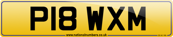 P18 WXM