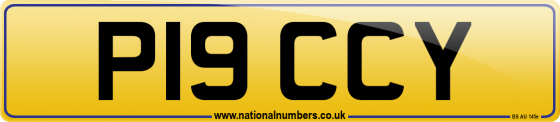 P19 CCY