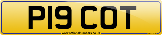 P19 COT
