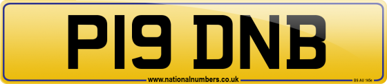 P19 DNB